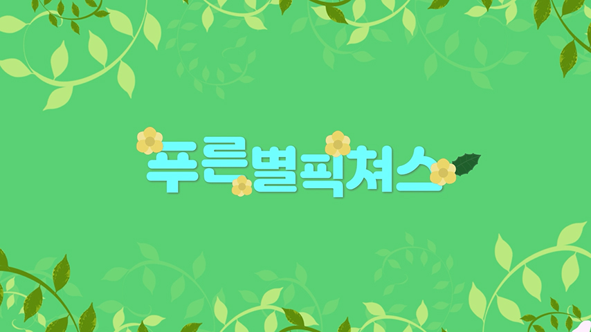 푸른별픽쳐스 간략 이용법~